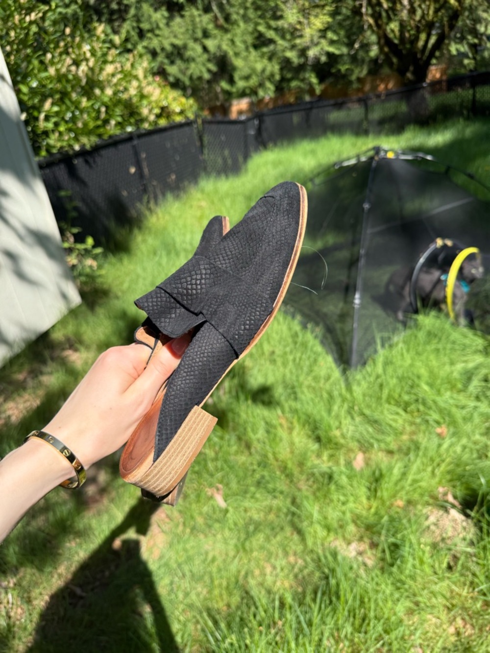 Free People Black Leather Snakeskin Embossed At Ease Mules